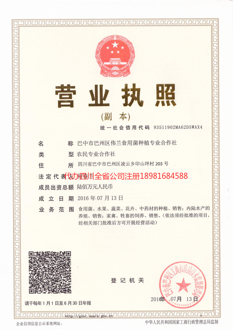 海口海口伟兰食用菌种植专业合作社